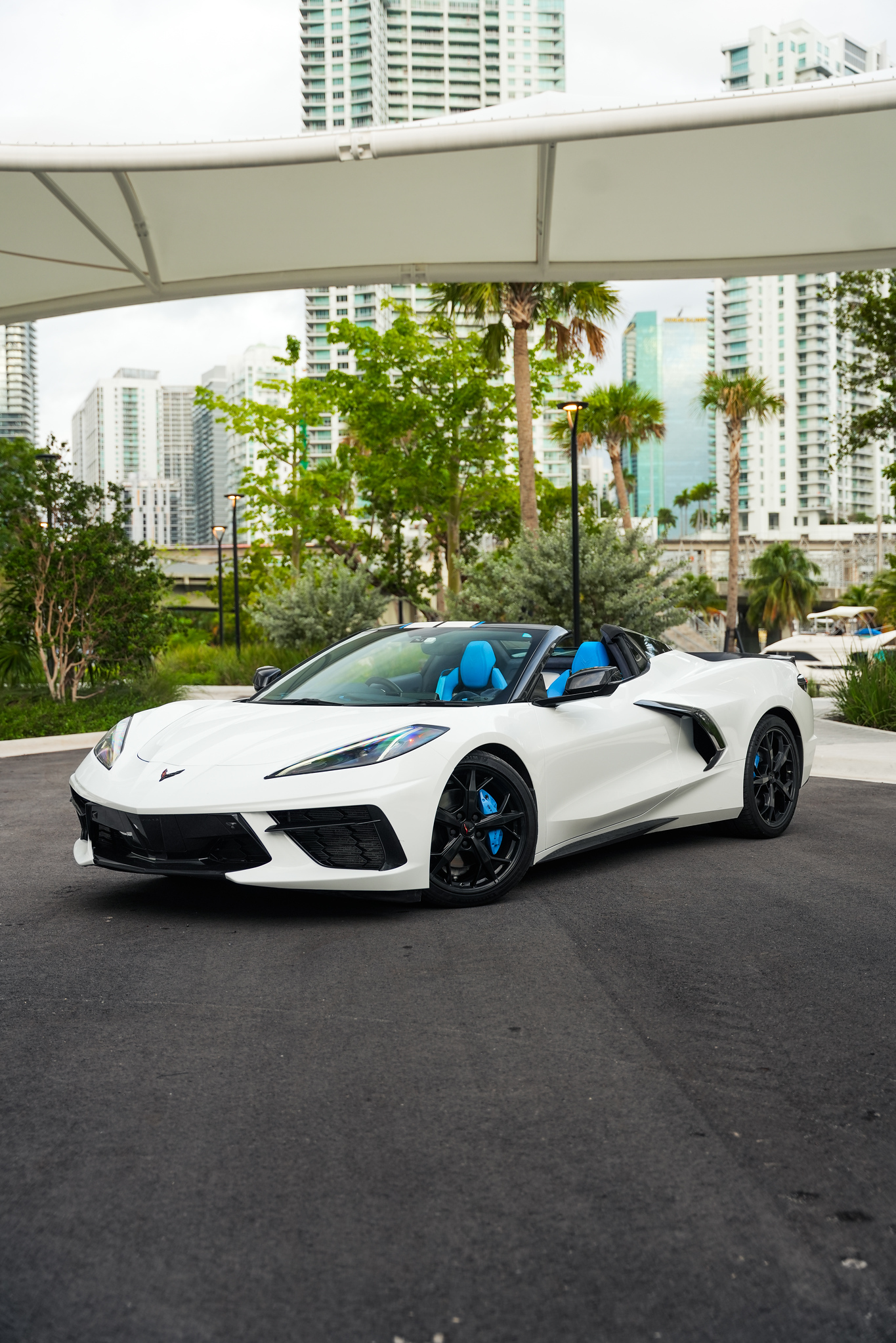 Chevrolet Corvette C8 White